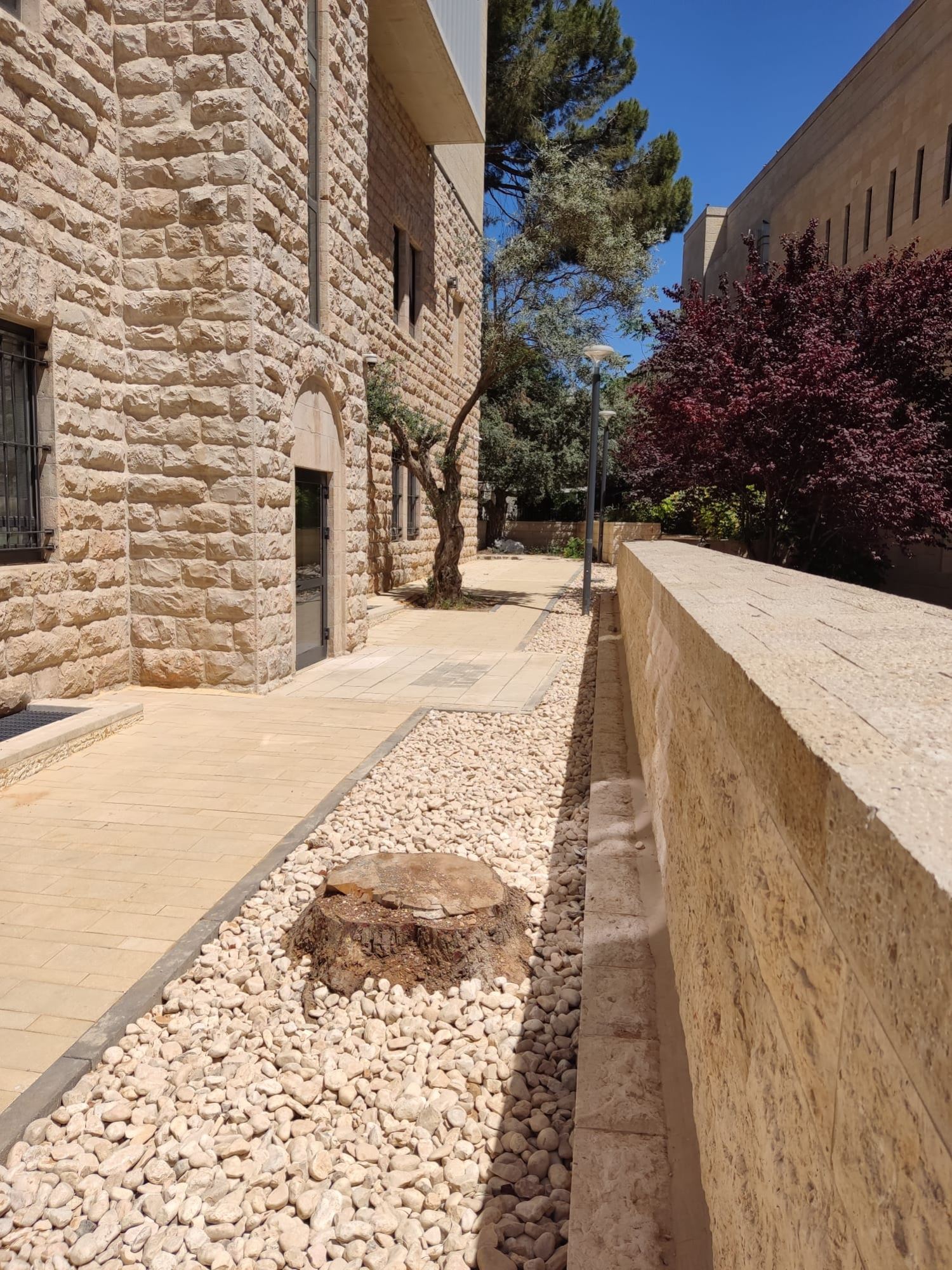 קרן קיימת לישראל: מבנה לשימור ומשרדים - תמונה 9